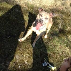 Meet your Posher, Dakota